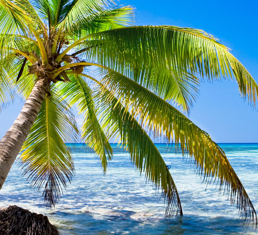 Beach in Haiti under a radiant sun.